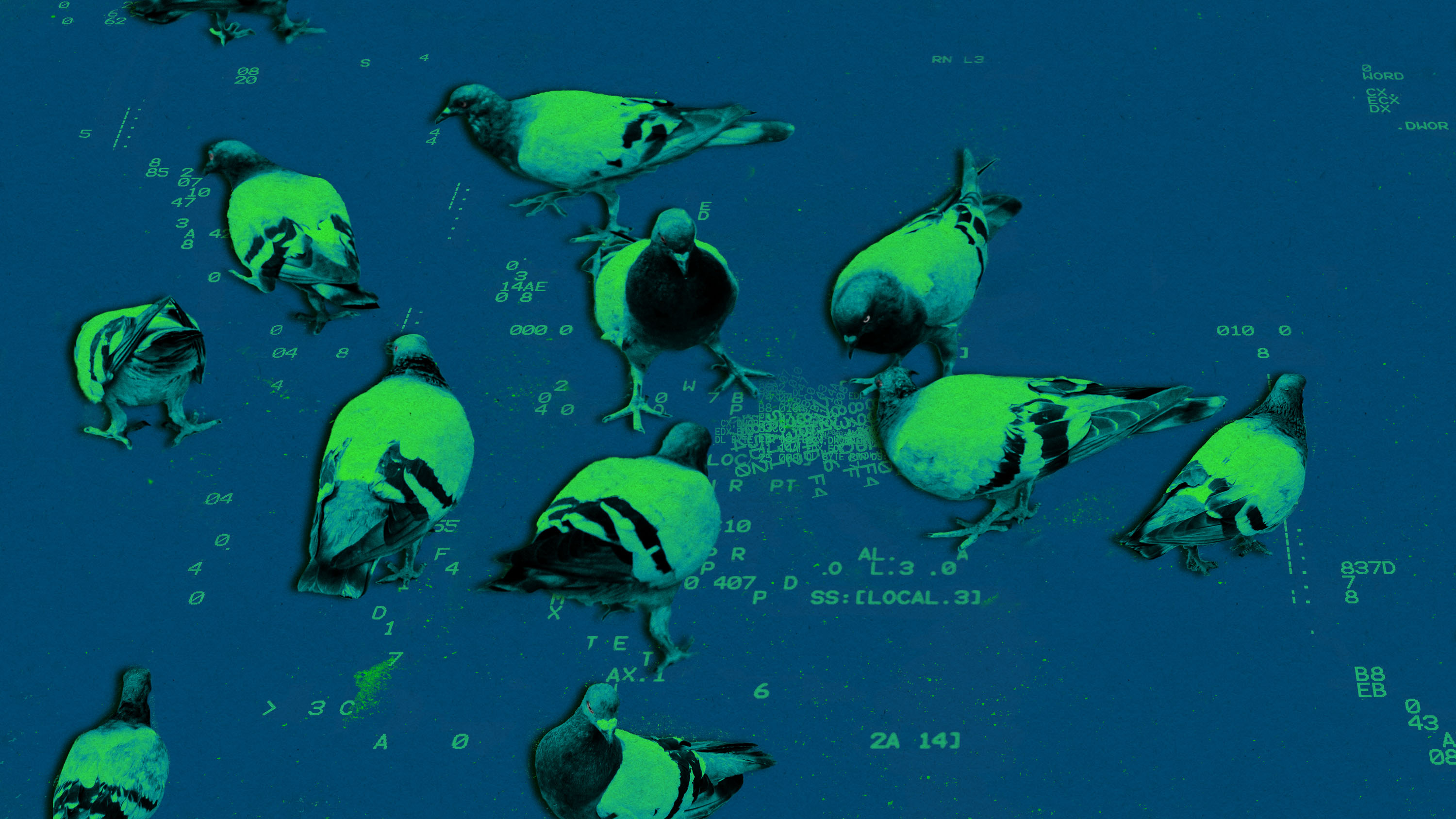 pigeons pecking at bits of code